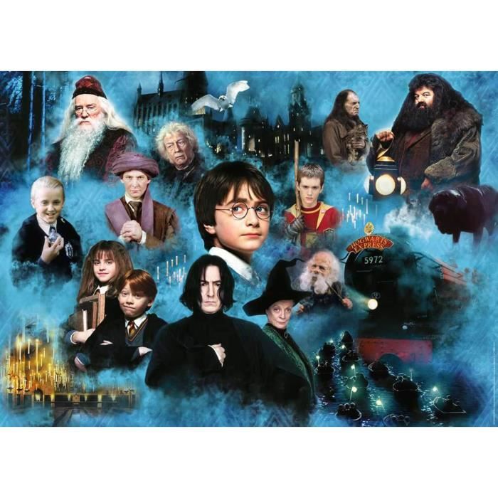 Puzzle 1000 pièces : Le monde magique d'Harry Potter Coloris Unique