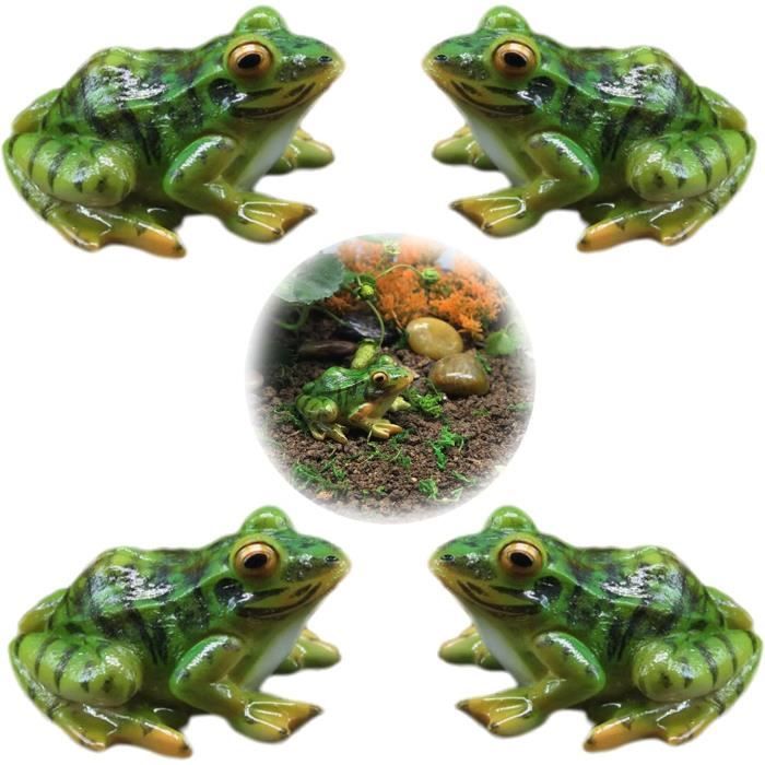 Kit Accessoires Jeu de la Grenouille - Un jeu Cadetel - BCD JEUX