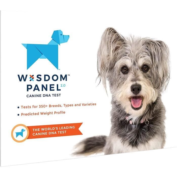Test ADN de chien Wisdom Panel 2.0 Race canine avec identification et  informations d'ascendance - Cdiscount