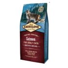 Croquettes pour chat - CARNILOVE - Saumon - 2 kg - Aliment complet - Sans céréales