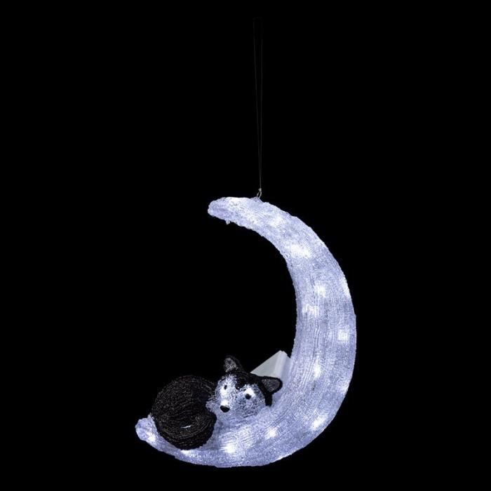 Décoration Lumineuse -Lune Husky- 36cm Blanc