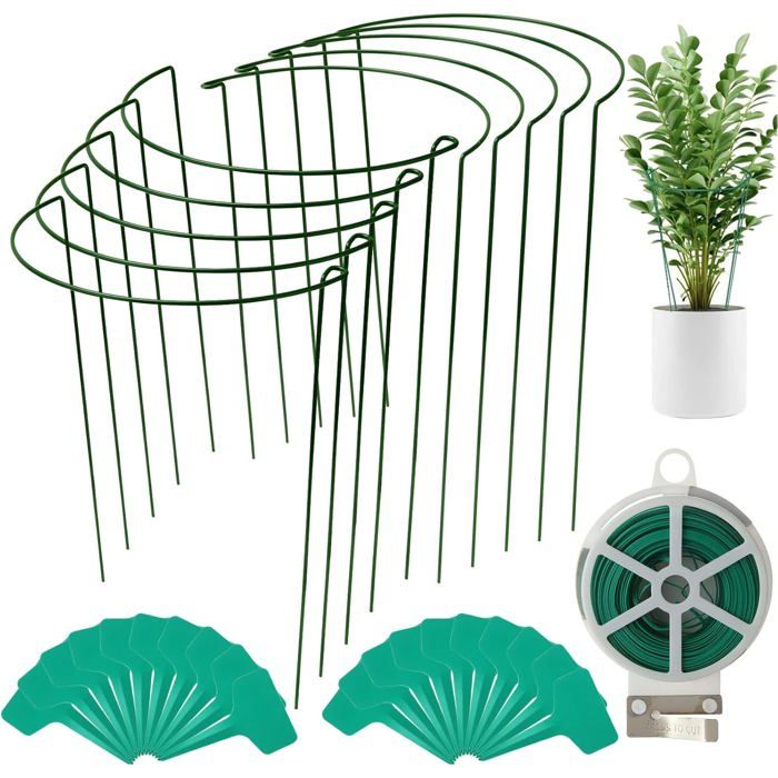 Plantes Grimpantes D'intérieur : Comment Végétaliser Votre Maison