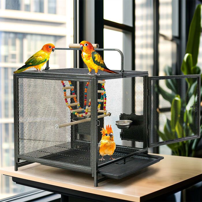 Meilleurs prix pour Cage Oiseau Perroquet Portable - BingoPaw - Volière Oiseaux Intérieur avec Corde de Jouet et Fond Amovible 58x46x56cm