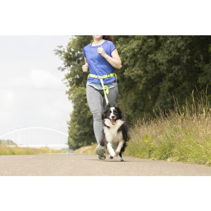 Laisse de jogging - EDEN - Stoffel - Ceinture ventrale réglable néoprène - LED rechargeable 3 modes - Section élastique anti-chocs Laisse de jogging - EDEN - Stoffel - Ceinture ventrale réglable néoprène - LED rechargeable 3 modes - Section élastique anti-chocs