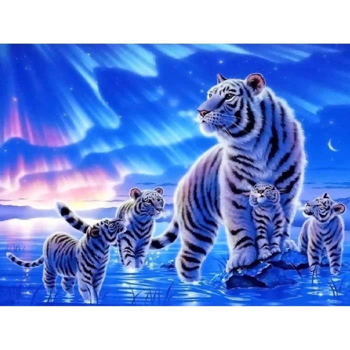 Kit Diamond Painting Aurore Adulte - 12x16 Pouces (30x40cm) - Diamants Ronds, Toile HD, Décoration Murale
