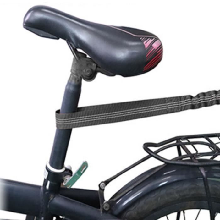 Permis De Pêche à Vie "Al Castol" – Carte De Permis Reproduction, Pièce D'identité Nouveauté, Cadeau Humoristique