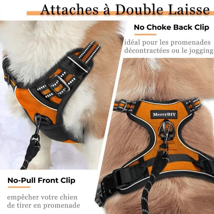 Harnais Chien / Harnais pour petit chien- Orange taille S -- Anti Traction  Réglable Réfléchissant Matériau Respirant - Cdiscount
