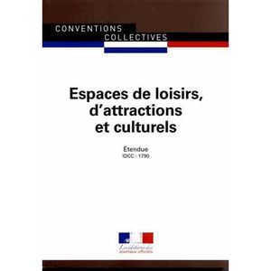 Livre Conventions Collectives Achat Vente Livre Conventions Collectives Pas Cher Soldes Sur Cdiscount Des Le 20 Janvier Cdiscount