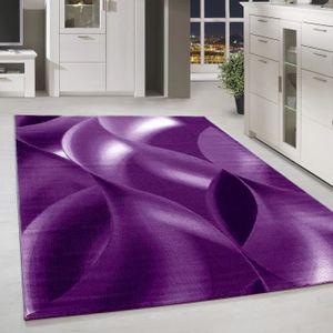 Violet et gris tapis design moderne tapis chambre à coucher salon tapis petit large xl