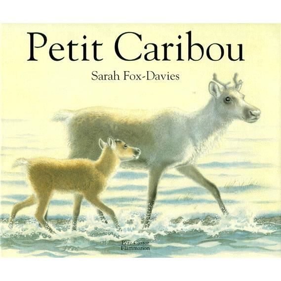 Petit Caribou Cdiscount Librairie