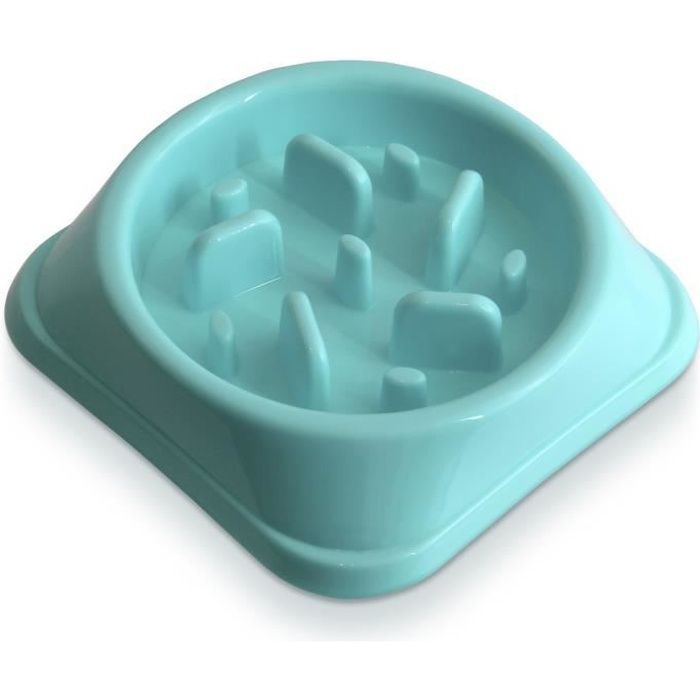 iGadgitz Home U6969 - Petits chiens chiots juniors Gamelle Anti Glouton Bol Alimentation Labyrinthe Lente pour Chatons Animaux