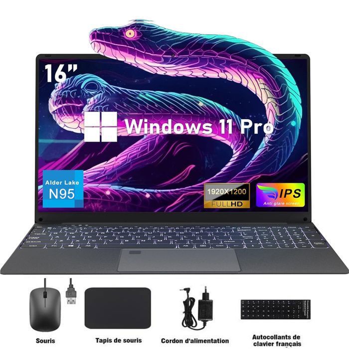 PC portable-16.1Intel Celeron N95(4C/4TJusquà 29 GHz)24Go RAM DDR4 1TB SSDWindows 11PROWiFi5HDMI，Ordinateur Portable