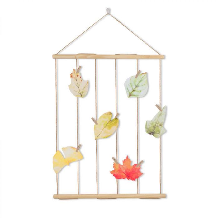 Présentoir Photo à Suspendre Avec Clips, Support Mural Pour Photos