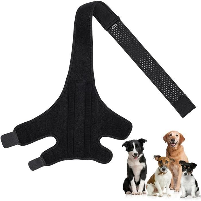 Lot De 4 Chaussettes Antidérapantes En Tricot Pour Chien