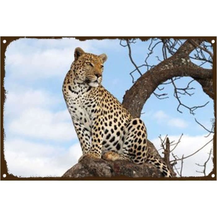 Banderole 3 Mètres Anniversaire Festif Multicolore