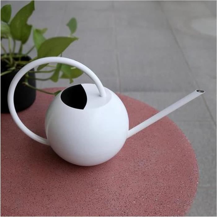 Arrosoir Acier Inoxydable Vintage 1,5L - Long Bec Pour Plantes Intérieur Extérieur, Maison Et Balcon