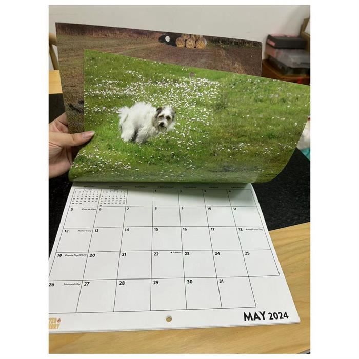 Calendrier mural 2024 - Calendrier des chiens de caca 2024 12 Planificateur  mensuel, calendrier drôle de chien Calendrier des farces murales Cadeaux
