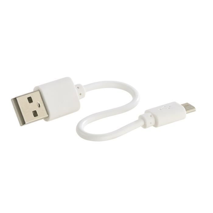 Briquets électroniques USB Rechargeables - Lot De 2, Double Arc Plasma - Coupe-vent, Indicateur Batterie LED - Arrêt Automatique 10s - Argenté