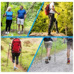 Canne de marche nordique Cdiscount