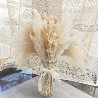 JANZDIYS -Bouquet de fleurs séchées naturelle-beige-74pcs-longeur 45cm-50cm
