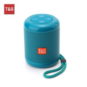 ENCEINTE NOMADE Bleu ciel-TG519-Enceintes Bluetooth sans fil porta