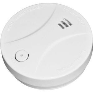 Pile bouton CR 2450 pour Alarmes incendie et détecteurs de fumées pour  habitation (Obligatoires en 2015)