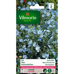 GRAINE - SEMENCE VILMORIN Lin vivace bleu