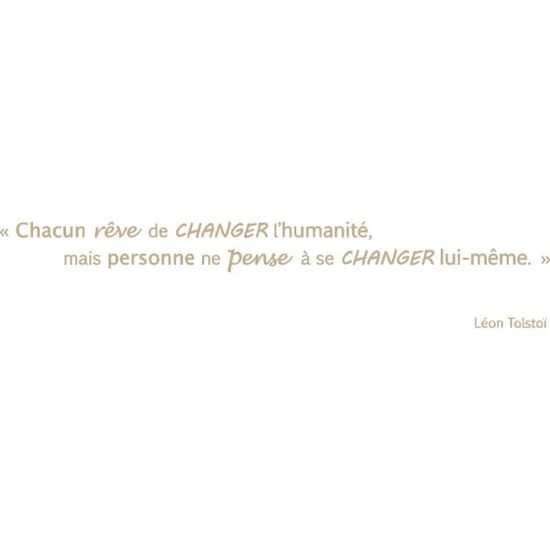 Stickers Citation Changement Leon Tolstoibeige 29 1 X 150 Cm Achat Vente Stickers Cdiscount