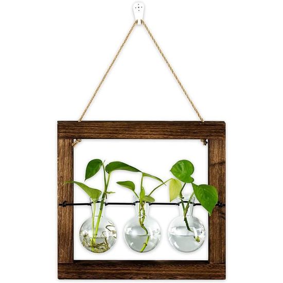Glasseam Station Propagation Plantes Terrarium - Vase Bulbes Verre Sur Plateau Bois - Vases Hydroponiques Modernes Pour Boutures