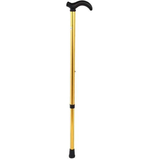 ALPIN LOACKER Bâton de Marche Télescopique Retractable + Sac