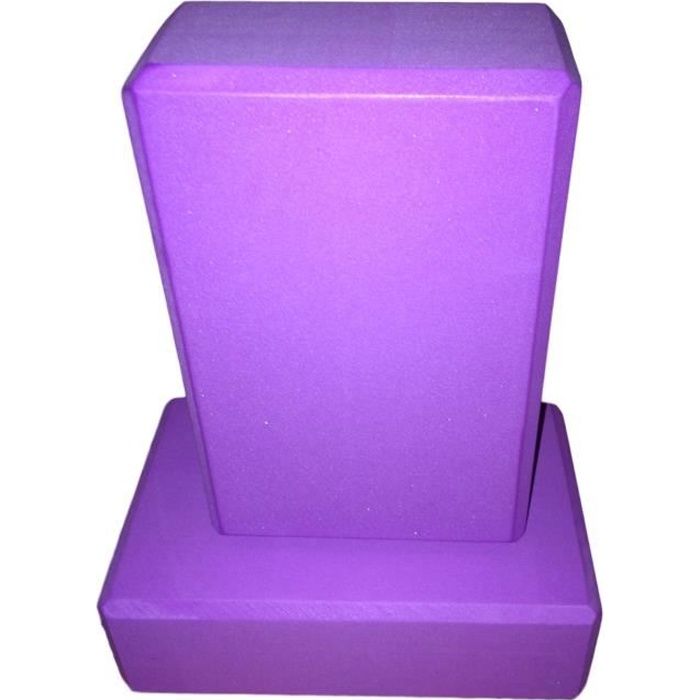lot 2 briques de yoga Violet