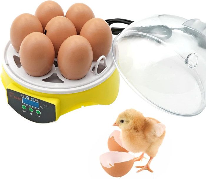 Meilleurs prix pour Incubateur à œufs - Hatcher - 7 œufs - Numérique - Facile à nettoyer - Transparent