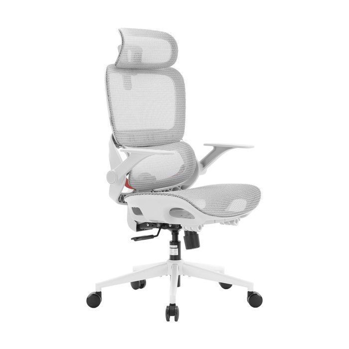 SIHOO B100 Lite Chaise de Bureau Ergonomique Grand Appui-Tête Soutien Lombaire Dynamique Accoudoirs Rabattables