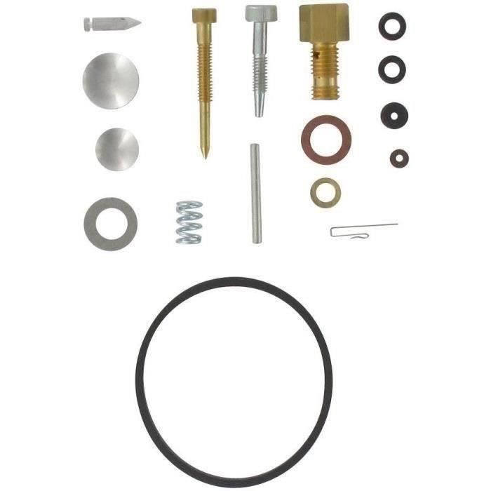 Kit réparation carburateur adaptable pour moteur TECUMSEH / TECNAMOTOR
