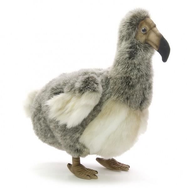 Peluche dodo store