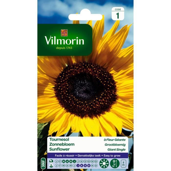 VILMORIN Tournesol fleur géante