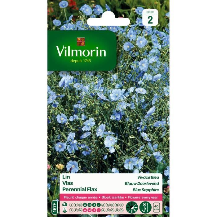 Lin vivace bleu - VILMORIN - Floraison précoce - Nombreuses fleurs fines