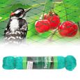 Filet de protection anti-oiseaux Durable et réutilisable pour plantes de jardin contre les oiseaux, les écureuils(2x10M )-1