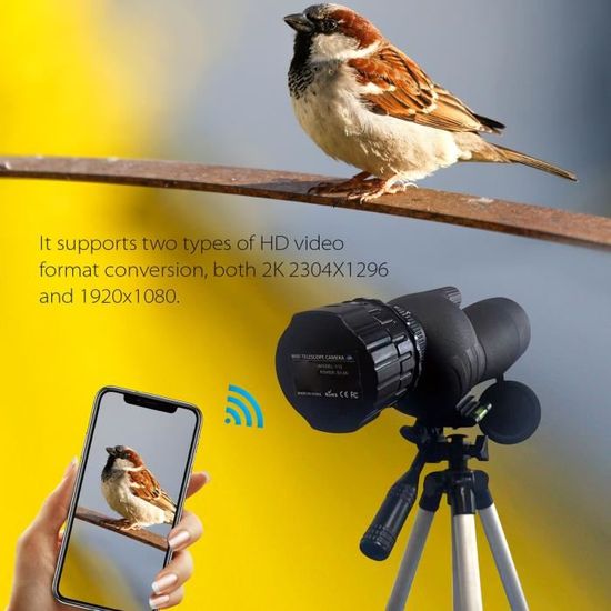 Oculaire électronique WiFi 4MP Pour Télescope/microscope - Capteur HD - Compatible 24-50mm - 128 Go
