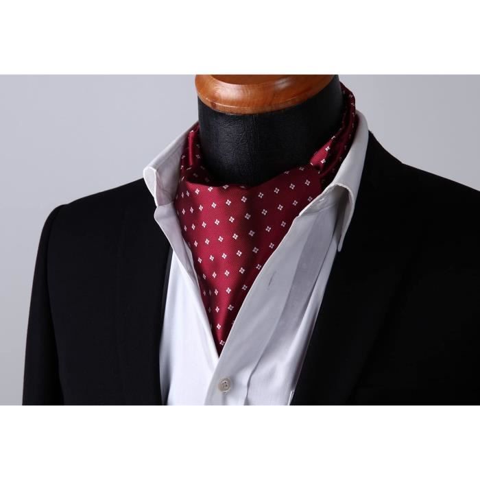 Ensemble Ascot Et Pochette HISDERN Pour Homme | Motif Paisley | Soie/Polyster | Pour Mariage Et Événements Formels