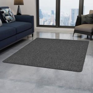 Tapis Gris Et Rouge Achat Vente Tapis Gris Et Rouge Pas Cher Cdiscount Page 10