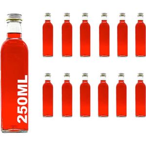 24 Fioles en Verre de 75 ml, Mini bouteilles à Liqueur de Remplissage avec  Bouchon Mécanique : : Cuisine et Maison