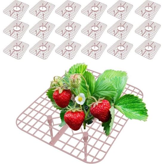 6 Supports Fraises Plastique - Évite Pourriture Fruits - Pour Pots Et Serre 30cm Diamètre