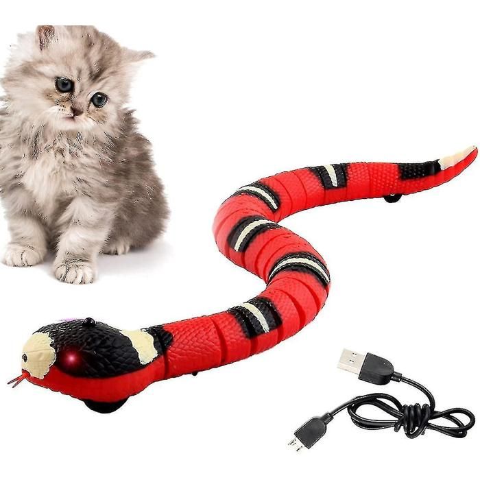Serpent jouet pour chat – USB rechargeable – Électrique interactif – Intelligent – 1 pièce – Stimulant et amusant