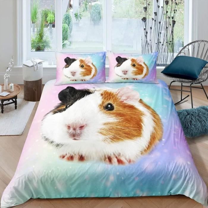 Parure De Lit 1 Personne 90x190 Cm - Housse De Couette + 2 Taies 65x65 Cm - Motif Kpop Demon Hunter, Microfibre Douce - Fermeture éclair, 8 Attaches