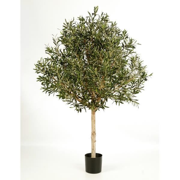 Olivier Artificiel 210 Cm VeriNatural – Feuilles En Soie, Résistant UV, Décoration Intérieur/Extérieur, Pot Inclus