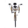 Tricycle adulte de vélo à 3 vitesses de 24 "6" avec un panier de magasinage, vélo de croiser avec panier Or-1