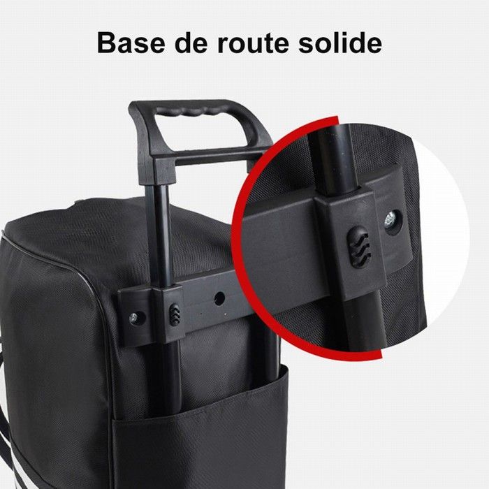 Sac de Voyage Pliable, Bagages Cabine Pliable Léger Sac de Voyage Valise  sous Siège Rangement Bagage