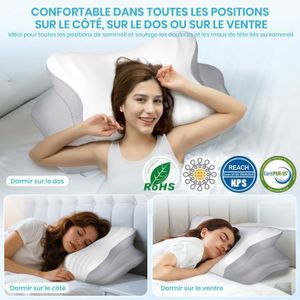 Baldiflex Lot De 2 Oreillers Mémoire De Forme 40x70x11 Cm Avec Housse Aloe Vera – Anti-Acariens, Hypoallergénique