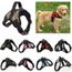 Amazoncom Edealmax Os Imprimer Collier De Chien Doggie